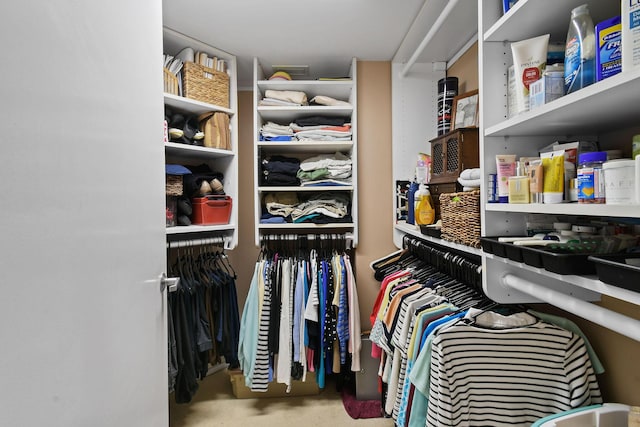 view of walk in closet