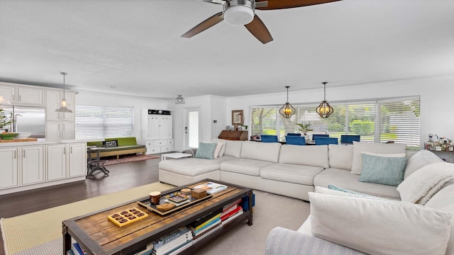 living area with ceiling fan, wood finished floors, and crown molding