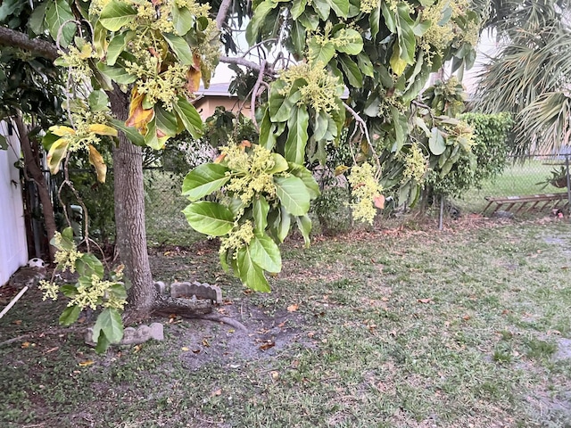 view of yard featuring fence