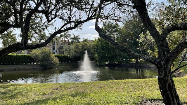 property view of water