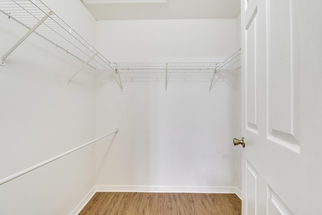 spacious closet with light wood-style flooring