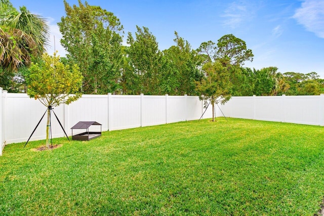 view of yard with a fenced backyard