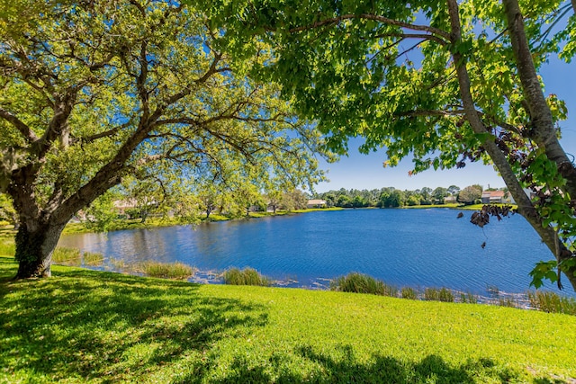 property view of water