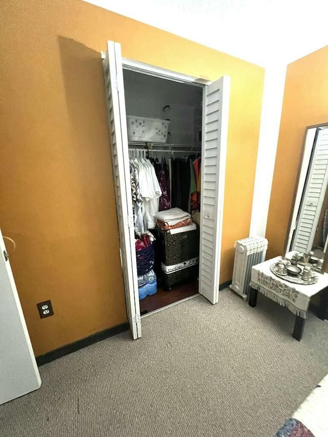 interior space with a closet, carpet flooring, and baseboards