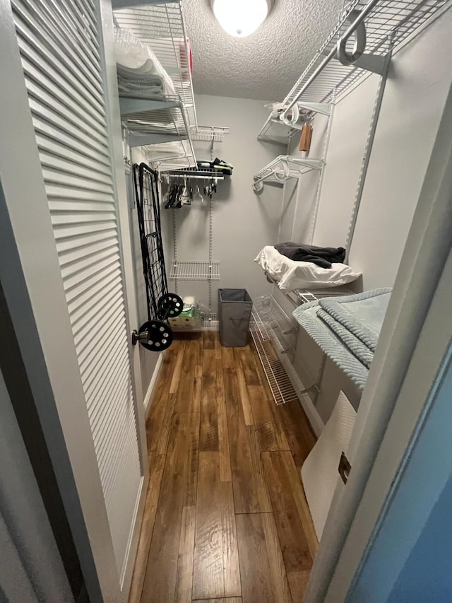 spacious closet with hardwood / wood-style floors