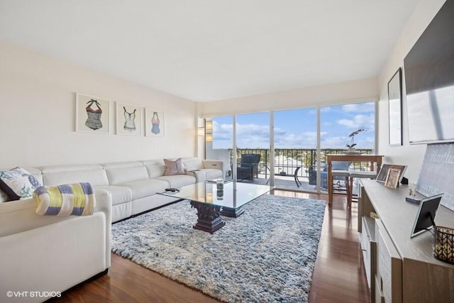 living area with dark wood-type flooring