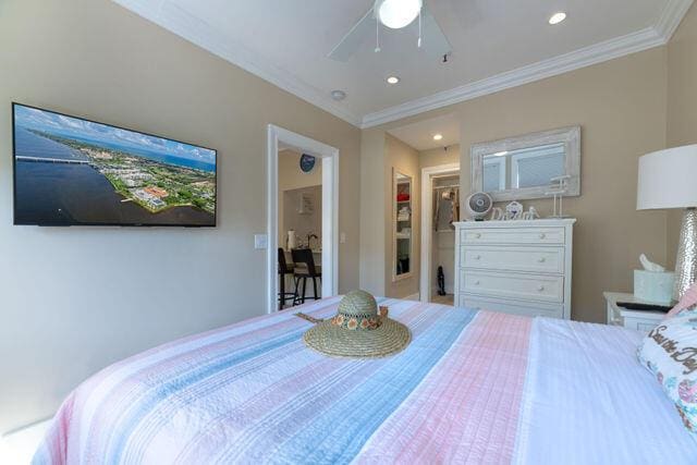 bedroom featuring ceiling fan, a spacious closet, ornamental molding, and a closet