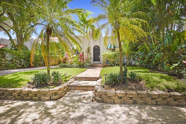 view of property hidden behind natural elements with stucco siding and a front lawn