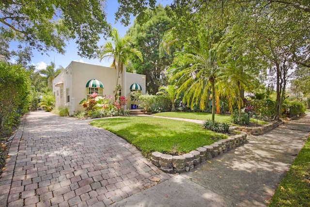 view of front of house with a front lawn and stucco siding