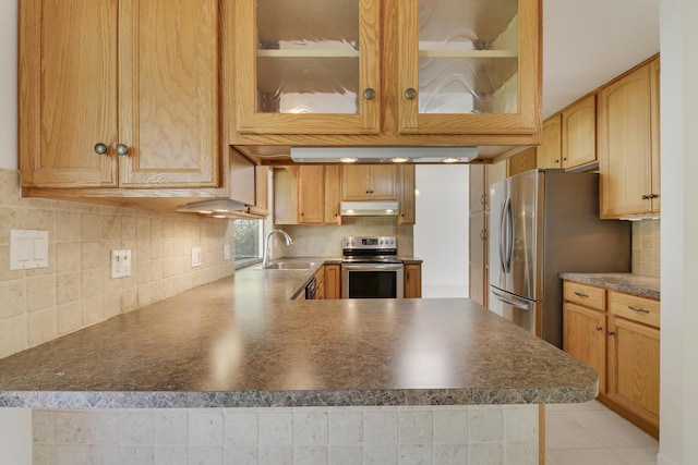 kitchen with stainless steel appliances, a sink, under cabinet range hood, and decorative backsplash