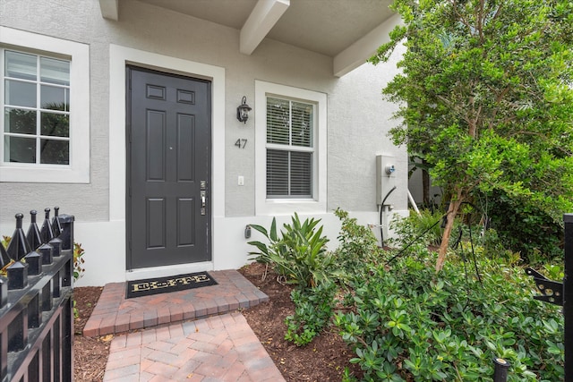 doorway to property featuring stucco siding