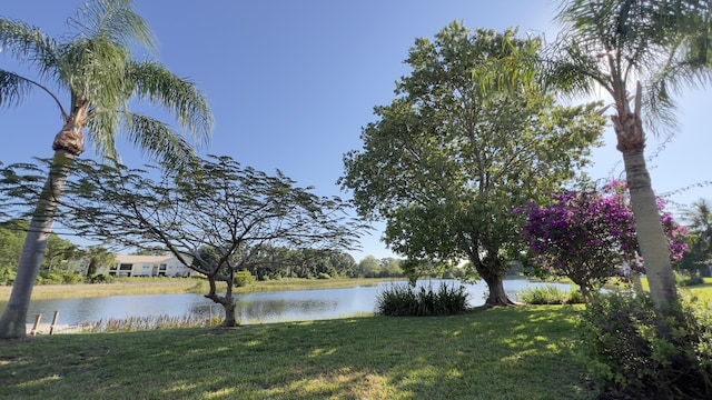 water view