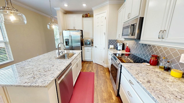 kitchen with wood finished floors, a sink, stainless steel appliances, crown molding, and backsplash