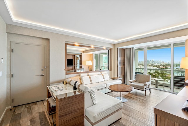 living room featuring wood finished floors and a raised ceiling