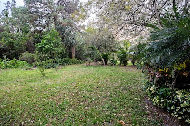 view of grassy yard