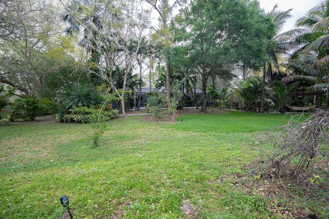 view of green lawn