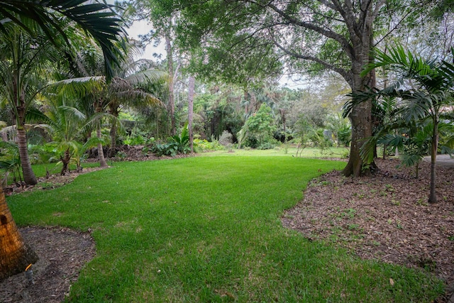 view of green lawn