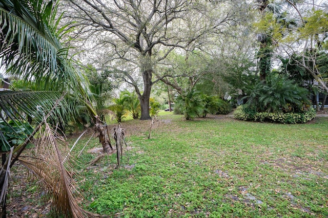 view of grassy yard