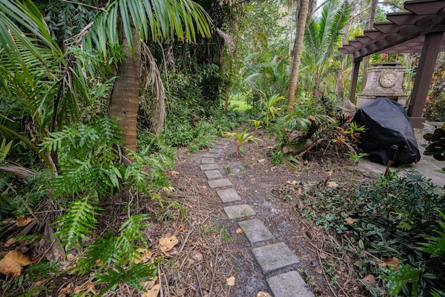 view of yard featuring a pergola