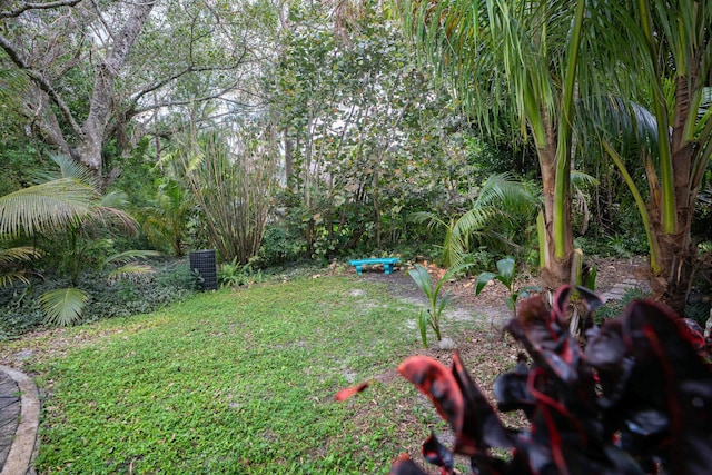 view of grassy yard