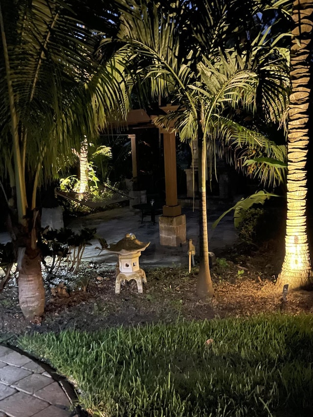 view of yard with a patio area
