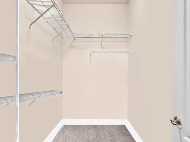 walk in closet with carpet flooring