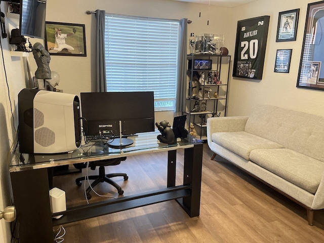 home office featuring wood finished floors