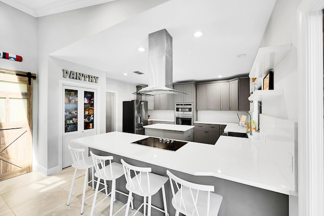 kitchen featuring gray cabinetry, island exhaust hood, stainless steel appliances, a peninsula, and light countertops