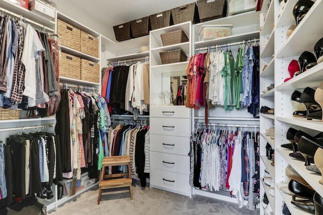 spacious closet featuring carpet