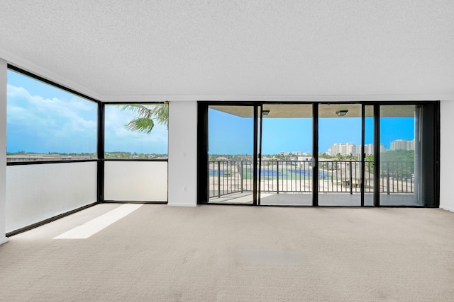 empty room featuring carpet, baseboards, a wall of windows, and a textured ceiling