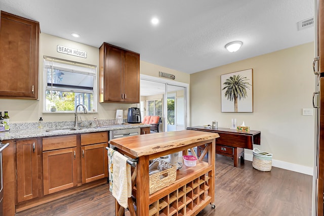 kitchen featuring dark wood finished floors, a healthy amount of sunlight, and a sink