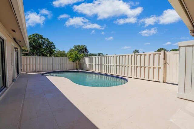 view of swimming pool with a fenced backyard, a fenced in pool, and a patio