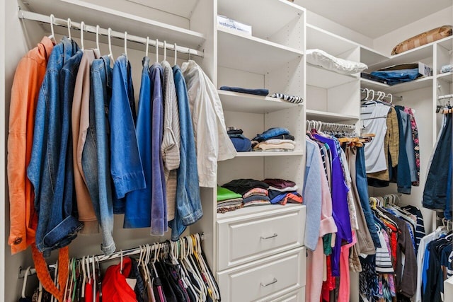 view of spacious closet