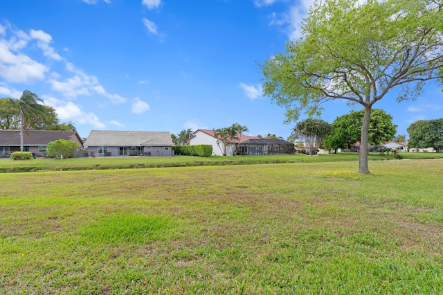 view of yard