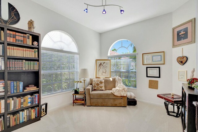 sitting room with baseboards and carpet