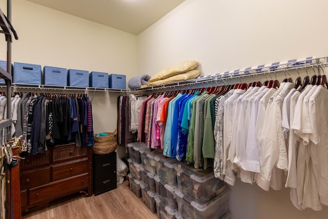 spacious closet featuring wood finished floors