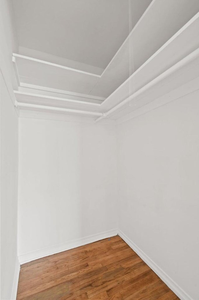 walk in closet featuring wood finished floors