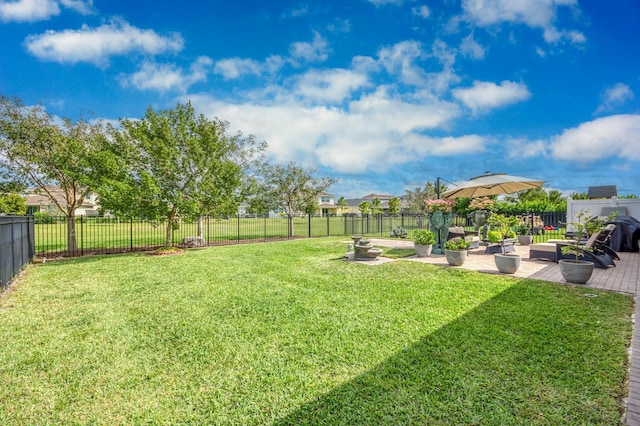 view of yard with a patio area and a fenced backyard