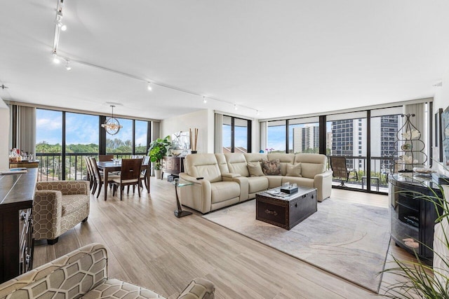 living area with expansive windows, rail lighting, a healthy amount of sunlight, and light wood finished floors