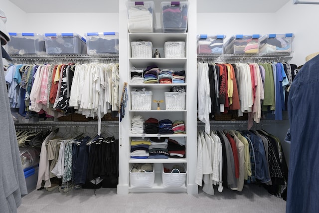 walk in closet with carpet flooring