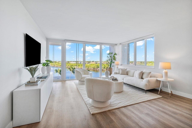 living area featuring a healthy amount of sunlight, light wood finished floors, and baseboards