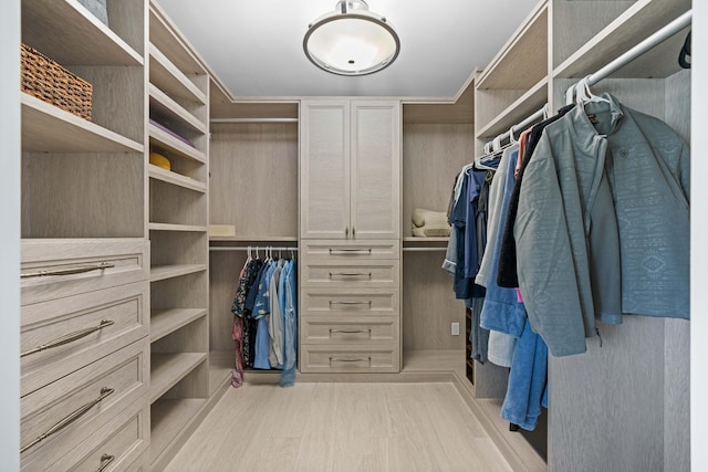 walk in closet with light wood-type flooring