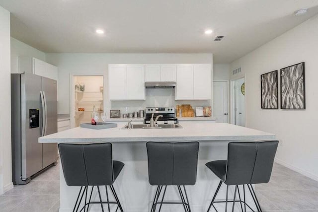 kitchen featuring under cabinet range hood, stainless steel appliances, a sink, and light countertops