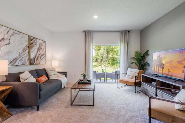 living area featuring carpet floors