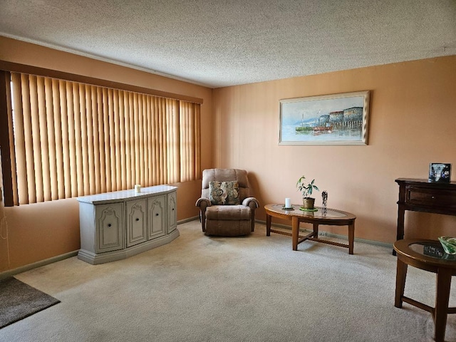 living area with light carpet, a textured ceiling, and baseboards