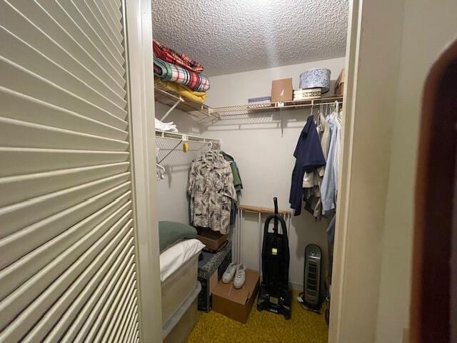 spacious closet with carpet flooring