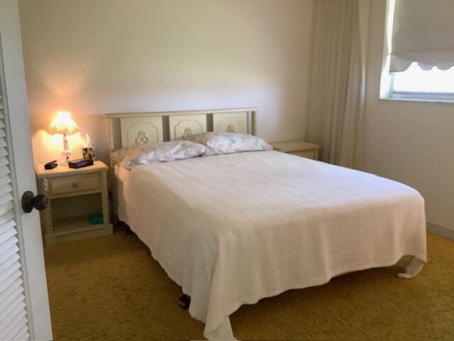 bedroom with carpet flooring