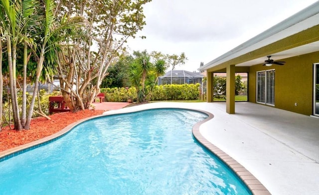 outdoor pool featuring a ceiling fan and a patio
