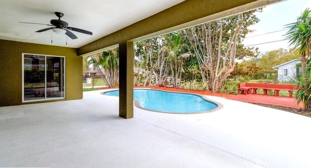 pool with a patio area and a ceiling fan