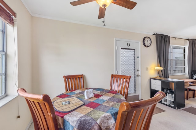 dining room featuring a ceiling fan, crown molding, and carpet